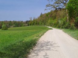 Bike_Mai_2024